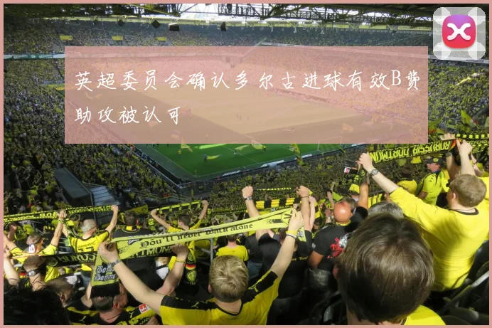英超委员会确认多尔古进球有效B费助攻被认可